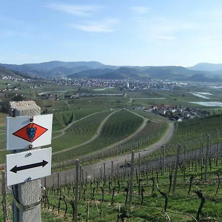 Ferienwohnung Danner - Moosblick