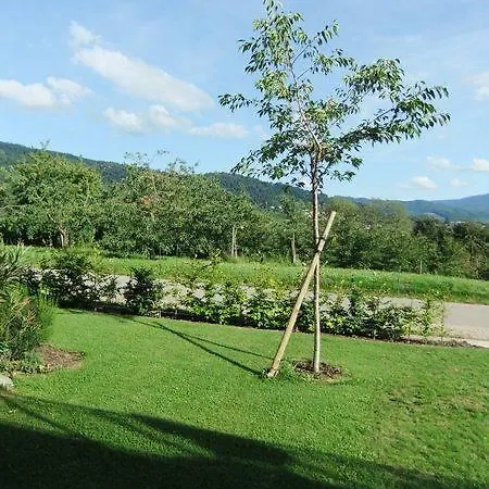 Ferienwohnung Danner - Moosblick Oberkirch (Baden)